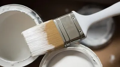 житель Петропавловска упал в погреб, отравившись парами краски, фото - Новости Zakon.kz от 04.08.2025 20:52