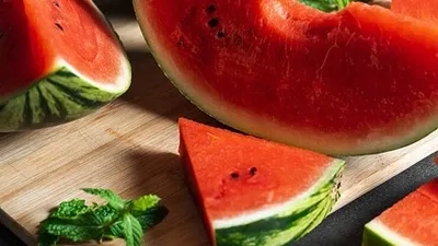 совет, фото - Новости Zakon.kz от 05.08.2025 00:43