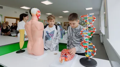 Построены две школы в Астане, фото - Новости Zakon.kz от 04.08.2025 10:59