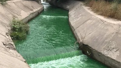 реку загрязнили в Алматы, фото - Новости Zakon.kz от 04.08.2025 21:09