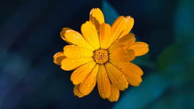 , фото - Новости Zakon.kz от 04.08.2025 17:44