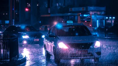 , фото - Новости Zakon.kz от 05.08.2025 17:59