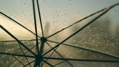 , фото - Новости Zakon.kz от 06.08.2025 14:27