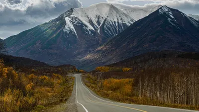 Камчатка, смещение, землетрясение , фото - Новости Zakon.kz от 05.08.2025 14:20