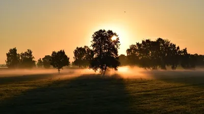 штормовое предупреждение в Казахстане, фото - Новости Zakon.kz от 06.08.2025 20:04