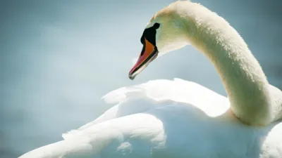 , фото - Новости Zakon.kz от 21.08.2025 17:03