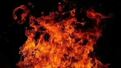 пожар разгорелся в алматинском кафе, фото - Новости Zakon.kz от 06.08.2025 23:07