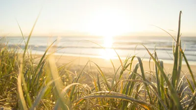 солнце, жара, прогноз погоды на 8 августа, пятница, Казахстан, Казгидромет, фото - Новости Zakon.kz от 07.08.2025 17:41