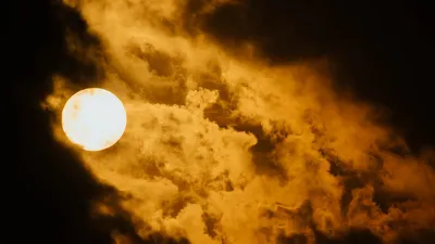 , фото - Новости Zakon.kz от 07.08.2025 14:07