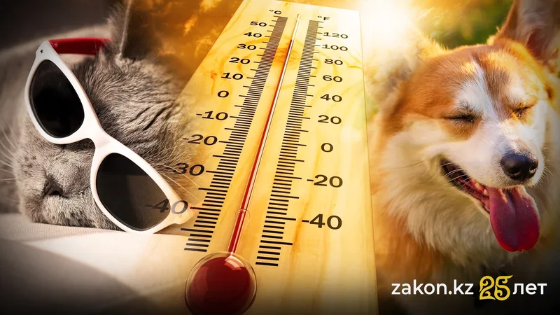 Жара и домашние животные: как помочь питомцам перенести летний зной