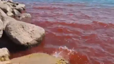 жители Израиля опасаются конца света, фото - Новости Zakon.kz от 08.08.2025 19:24