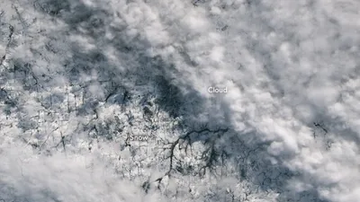 Снегопад в Австралии, фото - Новости Zakon.kz от 08.08.2025 08:25