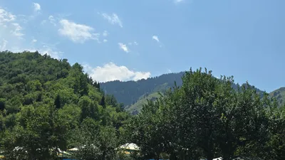 , фото - Новости Zakon.kz от 11.08.2025 09:30