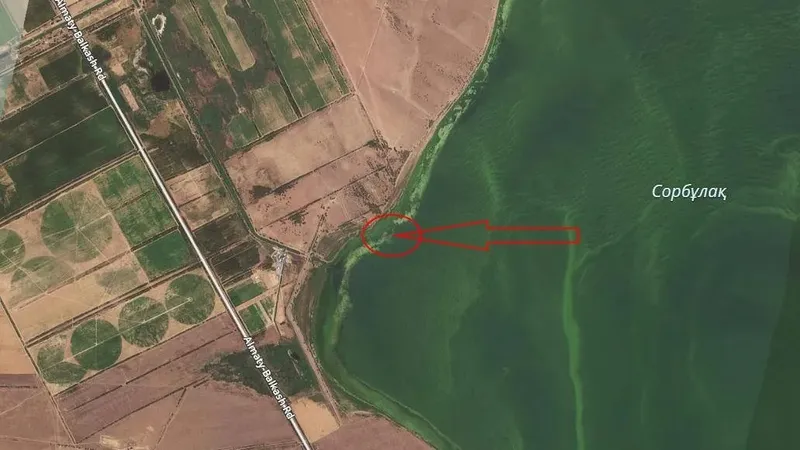 Крушение вертолета в Алматинской области: найдено тело одного из пропавших членов экипажа