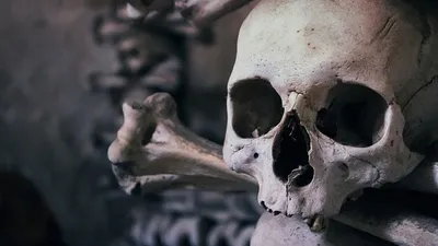 артефакты вернул Египет из Германии и Великобритании, фото - Новости Zakon.kz от 10.08.2025 19:33