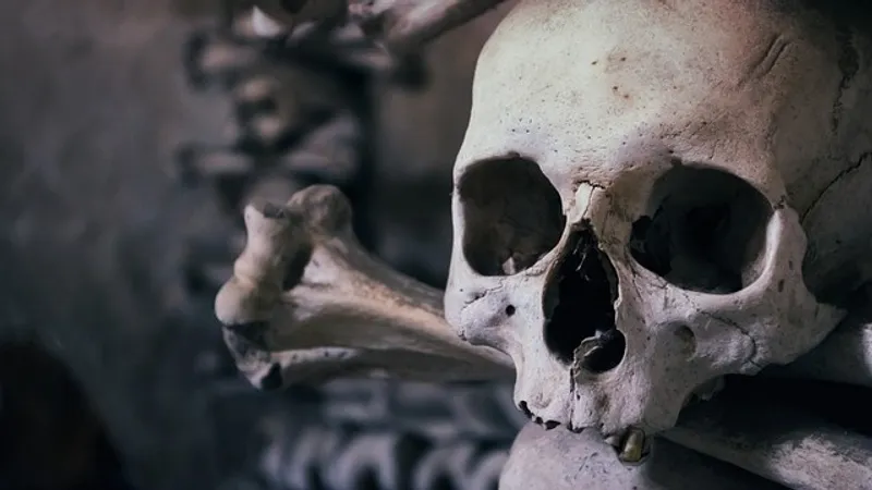 Череп мумии, амулеты и часть короны: важные артефакты вернули Египту Германия и Британия