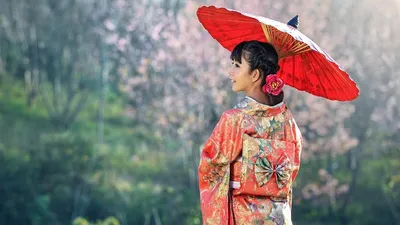 Браки между корейцами и японками, фото - Новости Zakon.kz от 11.08.2025 04:59