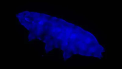 Формы жизни, фото - Новости Zakon.kz от 12.08.2025 06:55