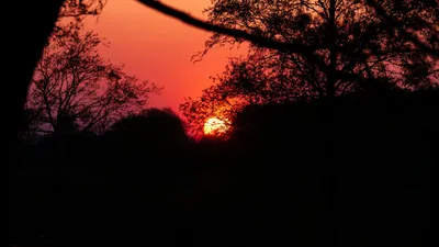 солнце, закат, прогноз "Казгидромета" на 12 августа, фото - Новости Zakon.kz от 11.08.2025 18:05