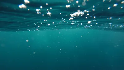 океан, ученые, вирус, наука , фото - Новости Zakon.kz от 12.08.2025 01:52