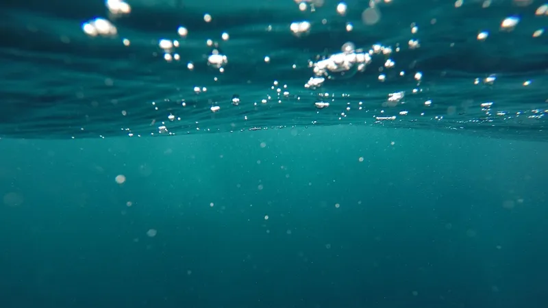 Ученые нашли гигантский морской вирус в Тихом океане