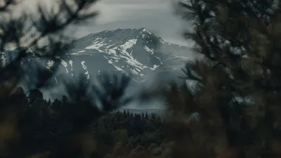 Аляска, ледниковое наводнение, эвакуация, фото - Новости Zakon.kz от 12.08.2025 18:42