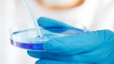 разработка, фото - Новости Zakon.kz от 13.08.2025 01:53