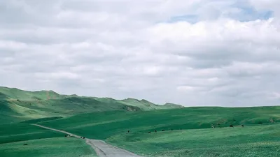 Возвращение в госсобственность более 367,8 тыс. гектаров земли, фото - Новости Zakon.kz от 12.08.2025 15:22