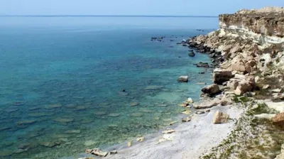 день Каспийского моря, фото - Новости Zakon.kz от 12.08.2025 18:41