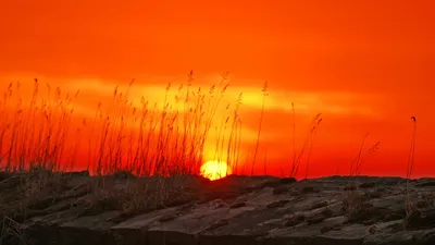 , фото - Новости Zakon.kz от 13.08.2025 14:35