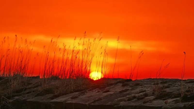 До 37°C: Алматы и Шымкент встретят середину августа в знойной жаре