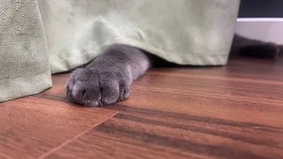 , фото - Новости Zakon.kz от 27.08.2025 13:19