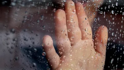 , фото - Новости Zakon.kz от 14.08.2025 16:13