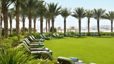 Курорт, туризм, пальмы, фото - Новости Zakon.kz от 14.08.2025 05:30