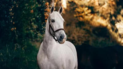 , фото - Новости Zakon.kz от 25.08.2025 15:59