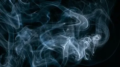 исследование, фото - Новости Zakon.kz от 15.08.2025 01:15