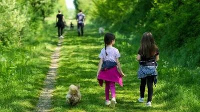 Семья, родители, родитель, дети, ребенок, сурет - Zakon.kz жаңалық 20.01.2026 11:57