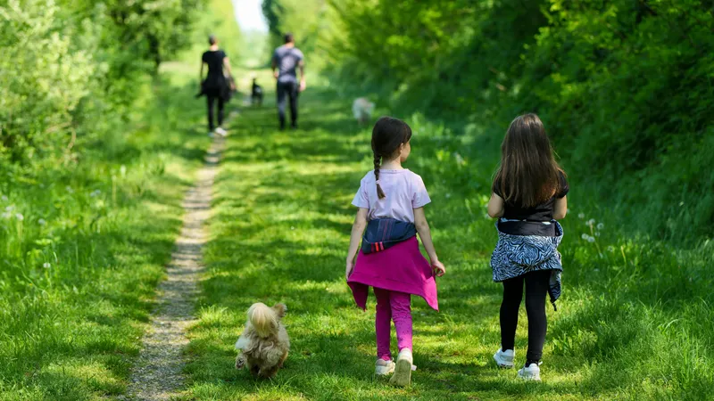 Вооруженный разбитой бутылкой бездомный изрезал лицо третьеклассницы