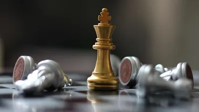 Бодхана Сиванандан стала шахматисткой-вундеркиндом, фото - Новости Zakon.kz от 15.08.2025 07:00