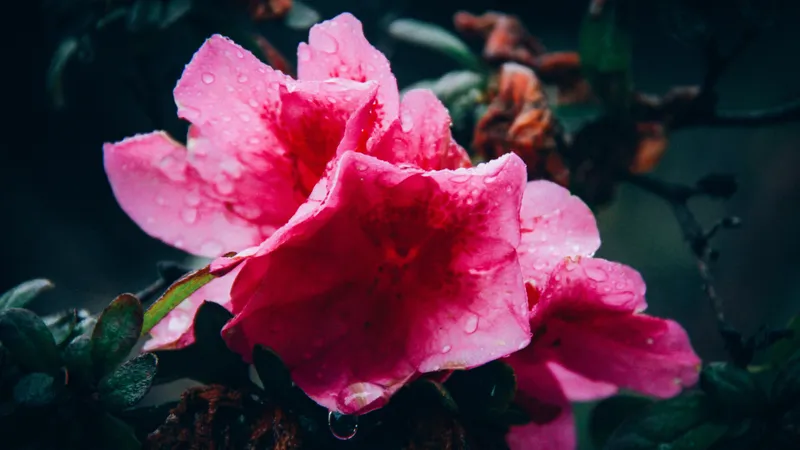 Астану и Алматы зальет в выходные