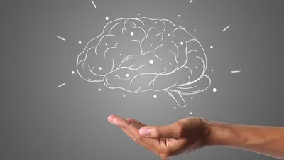 перезагрузка, мозг, ученные, фото - Новости Zakon.kz от 16.08.2025 17:33