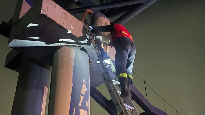 10-летний мальчик забрался на недостроенный мост в Алматы: пришлось вызывать МЧС