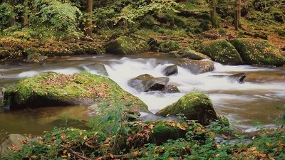 сплав на реке обернулся трагедией в Таиланде, фото - Новости Zakon.kz от 19.08.2025 01:02