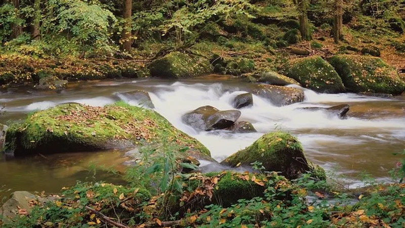 Семейный сплав туристов по реке в Таиланде обернулся трагедией