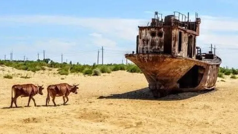 Исчезающие гиганты: история кораблей, оставшихся в песках Приаралья