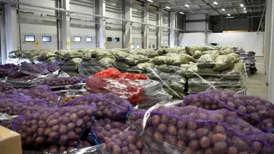 Правительство обновило правила мониторинга состояния продбезопасности