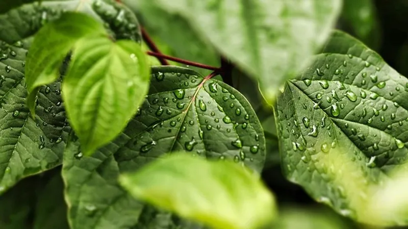 Ливень, град и шквал: штормовое предупреждение объявили в ряде областей Казахстана