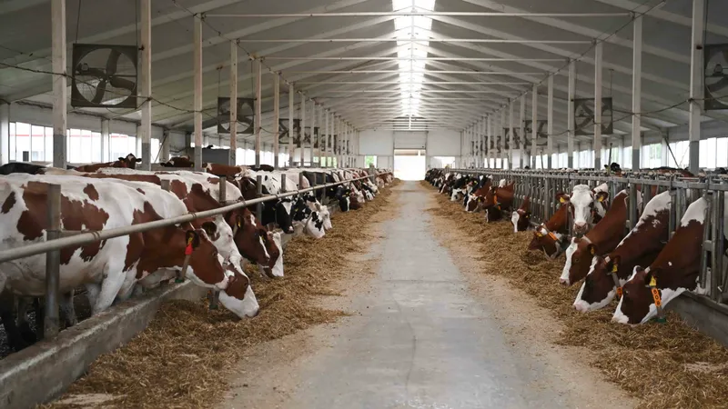Министрлік Қазақстандағы малдарды тәркілеу және жою туралы қауесеттерге қатысты мәлімдеме жасады