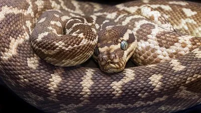 , фото - Новости Zakon.kz от 04.09.2025 11:00