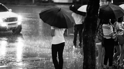 , фото - Новости Zakon.kz от 21.08.2025 17:49